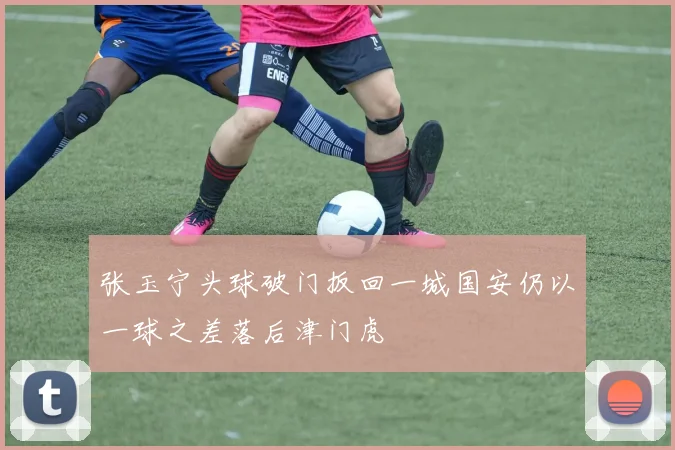 张玉宁头球破门扳回一城国安仍以一球之差落后津门虎