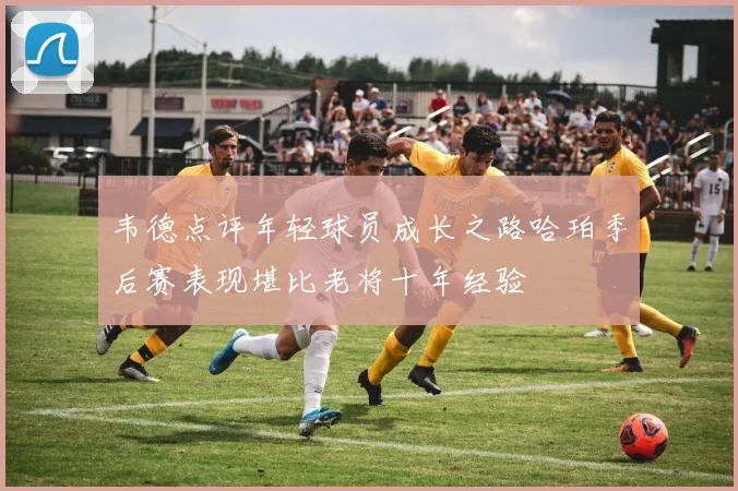 韦德点评年轻球员成长之路哈珀季后赛表现堪比老将十年经验