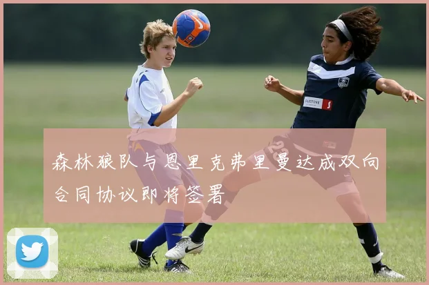 森林狼队与恩里克弗里曼达成双向合同协议即将签署